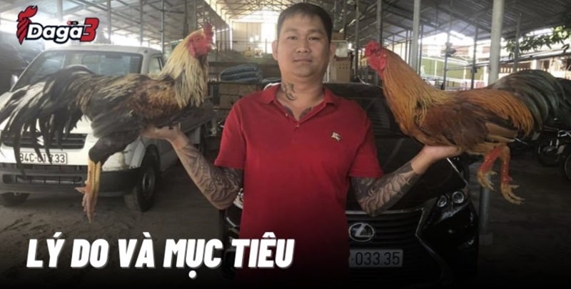 Mít Trà Cú sáng lập trang đá gà trực tiếp www.bnrcomfort.nl