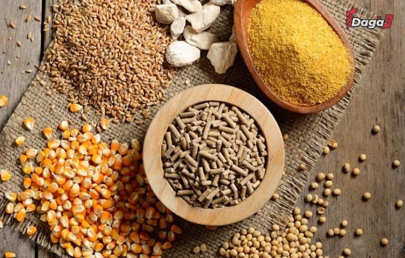 Công thức pha trộn các loại ngũ cốc cho gà đá